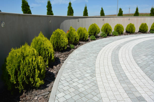 Best Commercial Driveway Pavers  in Long Branch, VA